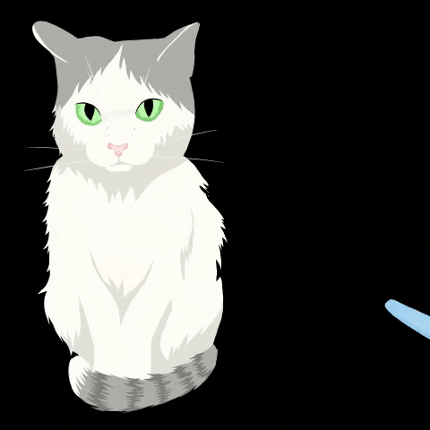 meguuedaart anime cat kawaii animals GIF