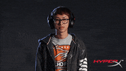 echo fox lol GIF by HyperX