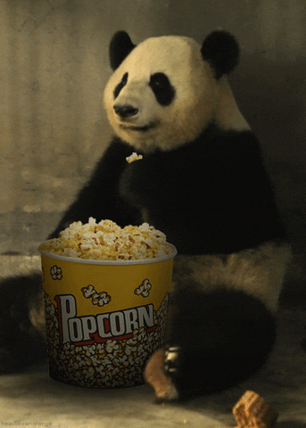 pictures popcorn GIF by Cheezburger