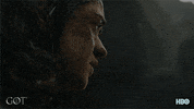 season 8 arya GIF by Game of Thrones