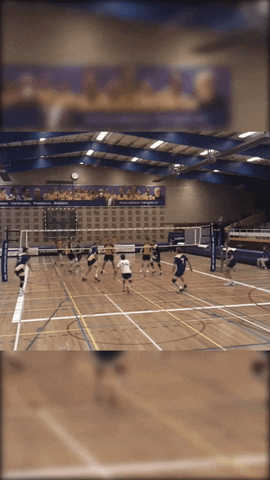 WebtonHengelo giphyupload joejoe GIF