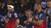 fc grenoble subs GIF by FCG Rugby
