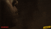 geno segers banshee GIF by Cinemax