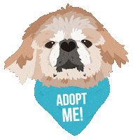 Bandana Adopt Sticker by FosterDogs