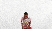 Happy Lets Go GIF by RB Leipzig