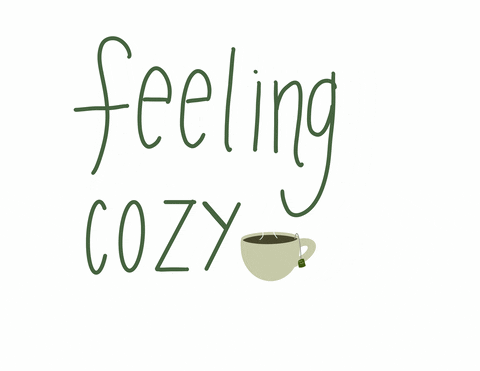 serendipitydaze giphyupload GIF