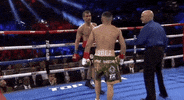 toprank fight boxing fighting espn GIF
