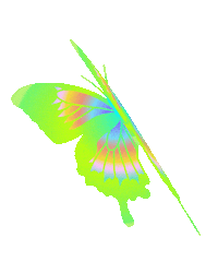 Beauty Butterfly Sticker by Dyanapyehchek