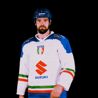 federazioneghiaccio hockey ice wintersport sportinvernali GIF