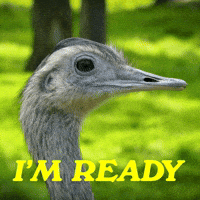 You Got This Lets Go GIF by Sealed With A GIF