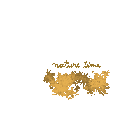 Sticker Instagram Sticker
