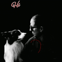 glueckscord heart dog dogs i love you GIF