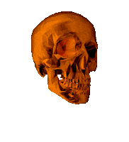 3D Skull Sticker by badblueprints