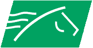 TVGMarketing horse horses betting tvg GIF