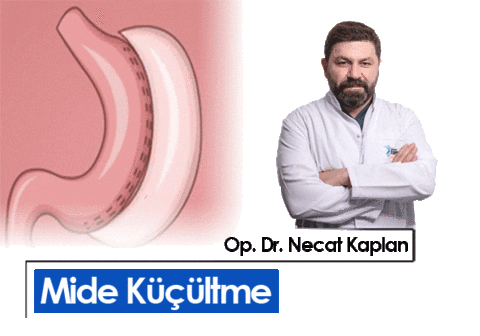 Obesity Mide Sticker by Necat Kaplan