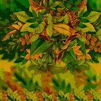 gobagelcr go costa rica bagel bagels GIF