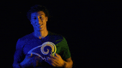 Los Angeles Rams GIF by NFL