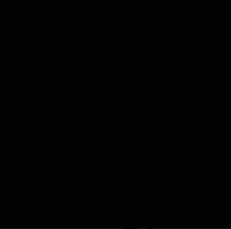 Dog Chien GIF