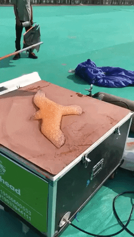 satisfying GIF