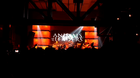 concert concierto animalsasleaders c3 stage the coffee sessions GIF