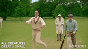 Matthew Lewis Winner GIF by MASTERPIECE | PBS