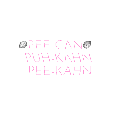 alabamapecan giphygifmaker pecan alabamapecan Sticker