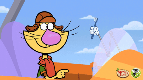 Nature Cat Teeth GIF by PBS KIDS