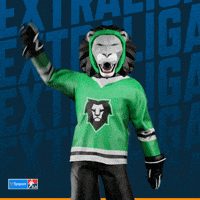 Hockey Hokej GIF by Tipsport extraliga