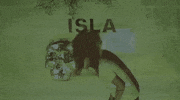 loma vista recordings villainy music video GIF by Local Natives