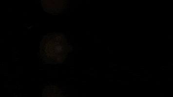 roc nation rihanna GIF