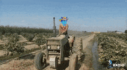 Nft Cowboy GIF by Rug Radio