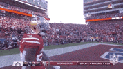National Football League GIF by NFL
