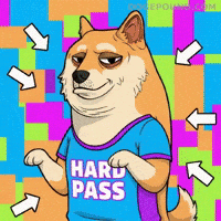 Shiba Inu No GIF by Doge Pound