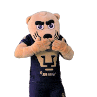 Football Kiss Sticker by Pumas MX