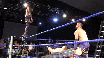epw ra17 GIF