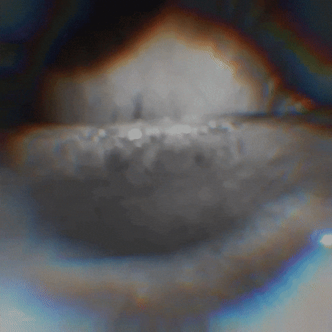 Stevesartandcacti eye iris eyeball stevesartandcacti GIF