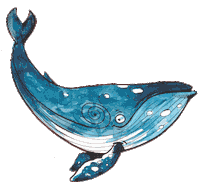 Argentina Mar Sticker by Mi Suelito Lindo