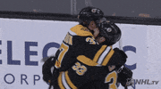 Ice Hockey Hug GIF by NHL