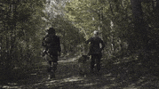 Dog Twd GIF by The Walking Dead
