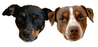 Dog Sticker by Os Paulistinhas