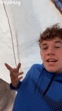 Deer Joins Campers in Tent