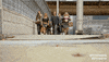 frank gallagher strut GIF by Showtime