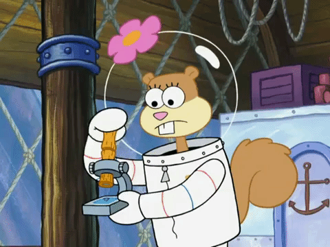 season 7 episode 22 GIF by SpongeBob SquarePants