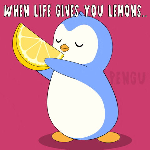 GIF by Pudgy Penguins