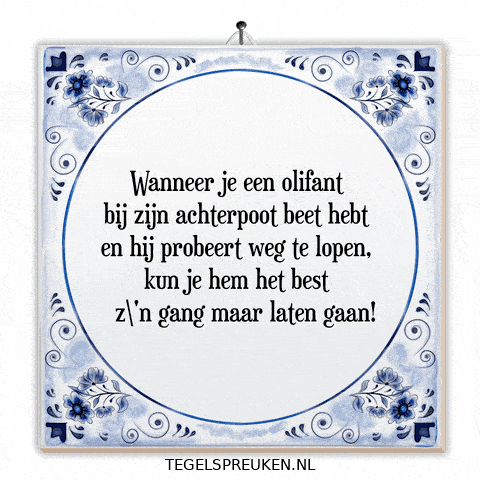Humor Wijsheid GIF by Tegelspreuken.nl