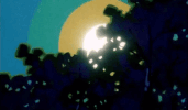 childrens show japan GIF