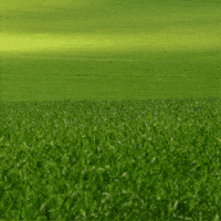 Home Run Running GIF by TeaCosyFolk