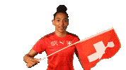 Flag Switzerland Sticker by Swiss Football Association