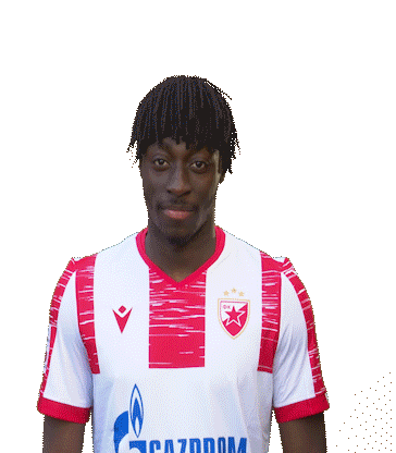 Celebration Goal Sticker by FK Crvena zvezda