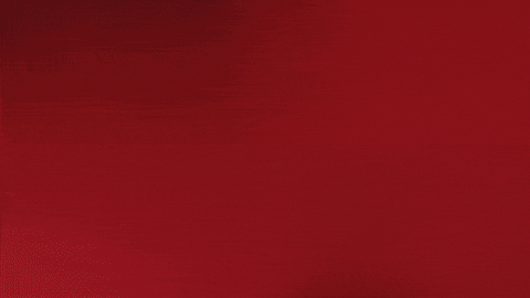Proud France GIF by Bundesliga